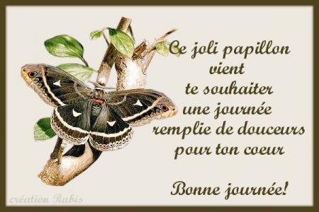  pour toi  mon  amour